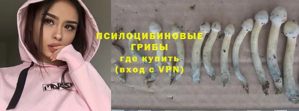 первитин Арсеньев