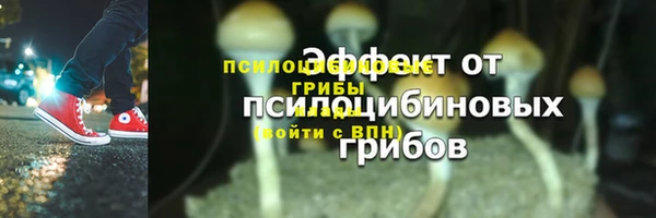 спайс Армянск