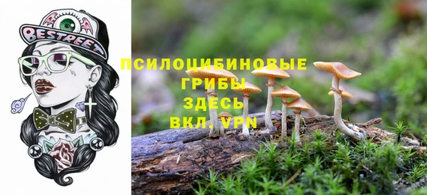 спайс Армянск