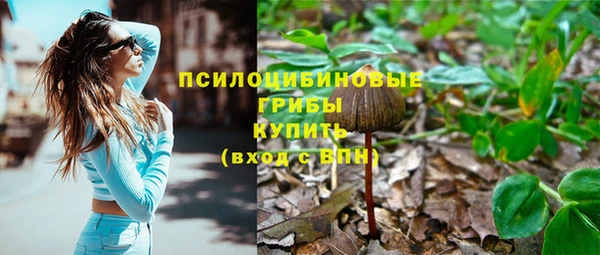 первитин Арсеньев